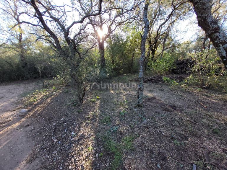 Terreno en Venta en San Javier, Cordoba