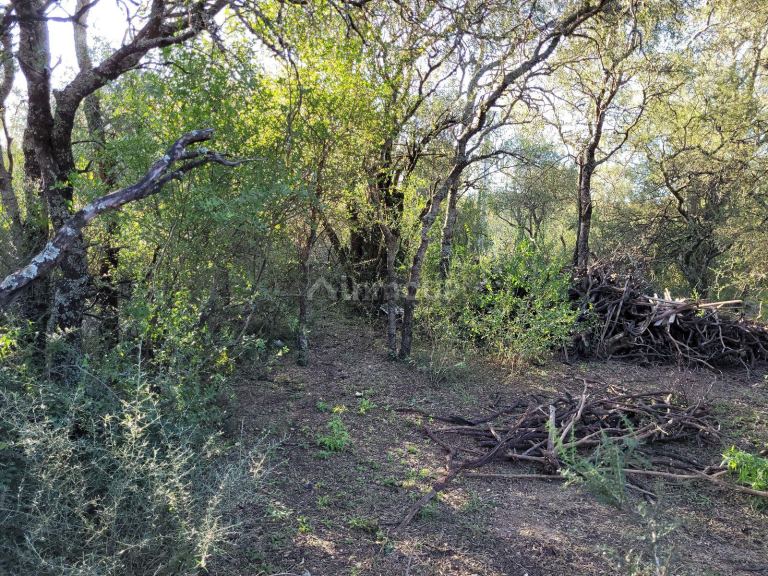 Terreno en Venta en San Javier, Cordoba
