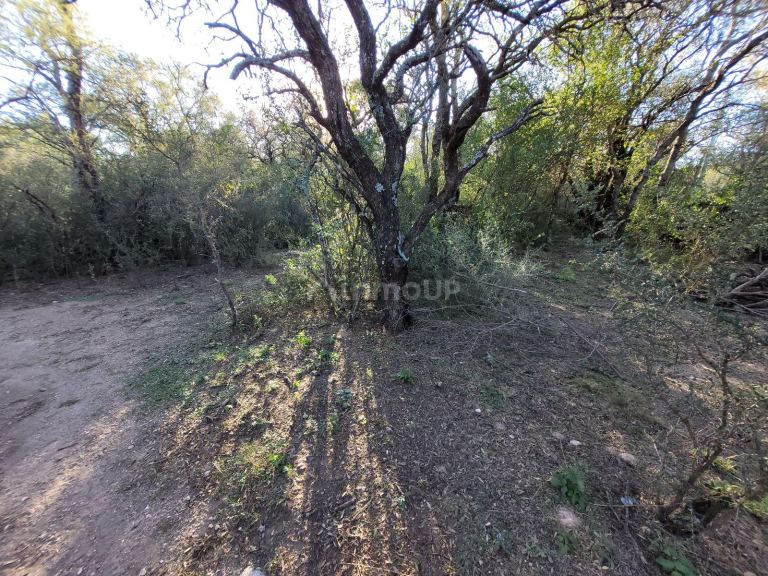 Terreno en Venta en San Javier, Cordoba