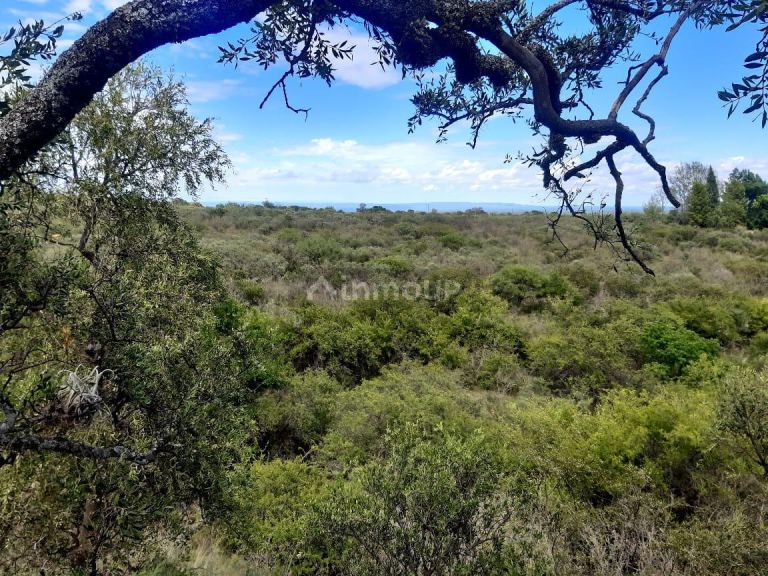 Terreno en Venta en San Javier, Cordoba