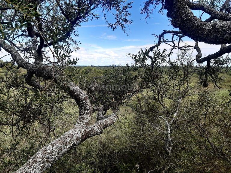 Terreno en Venta en San Javier, Cordoba