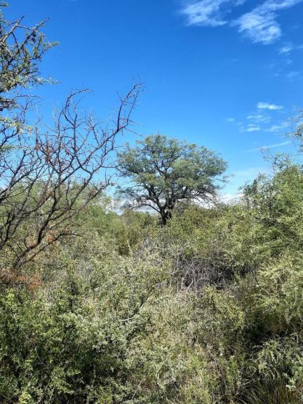 Terreno en Venta en San Javier, Cordoba