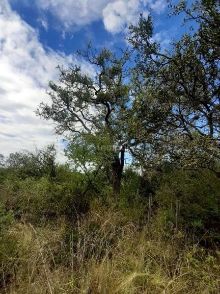 Terreno en Venta en San Javier, Cordoba