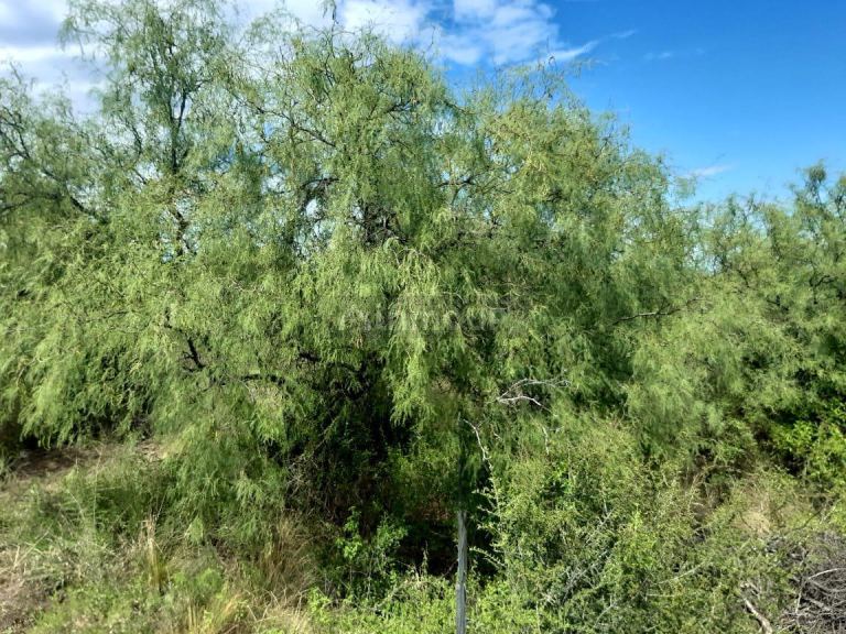 Terreno en Venta en San Javier, Cordoba