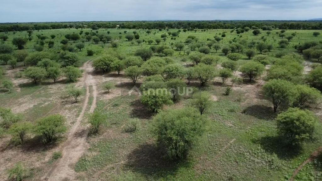 Campo en Venta en San Javier, Cordoba