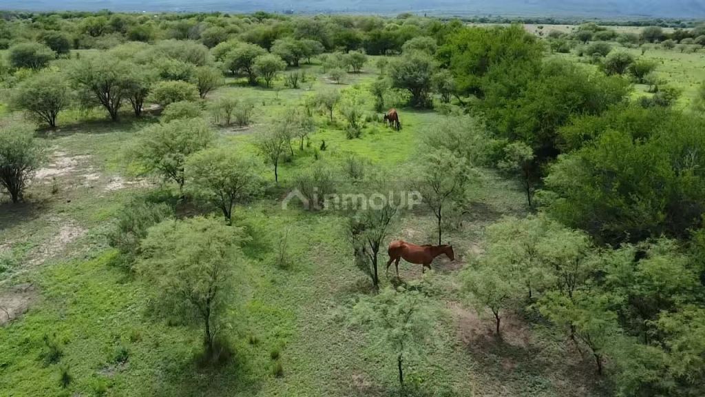 Campo en Venta en San Javier, Cordoba