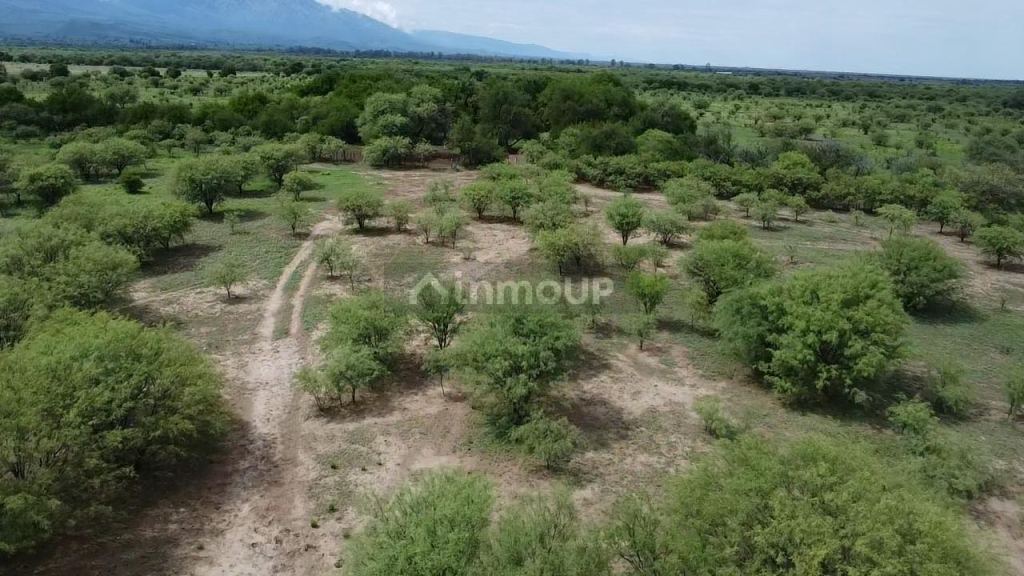 Campo en Venta en San Javier, Cordoba