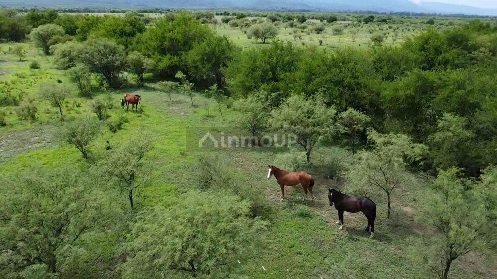 Campo en Venta en San Javier, Cordoba