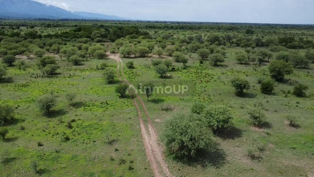 Campo en Venta en San Javier, Cordoba
