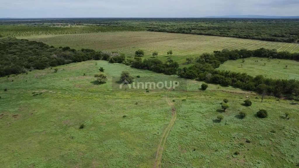 Campo en Venta en San Javier, Cordoba