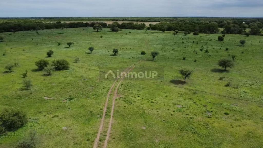Campo en Venta en San Javier, Cordoba