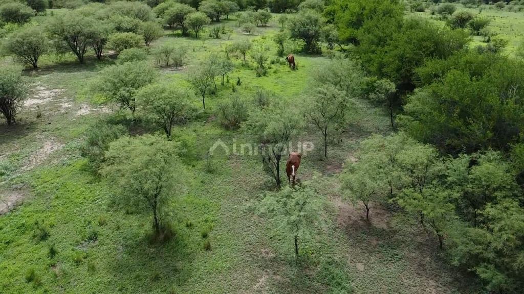 Campo en Venta en San Javier, Cordoba