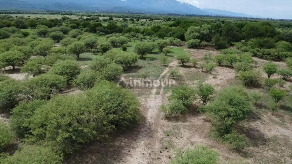 Campo en Venta en San Javier, Cordoba