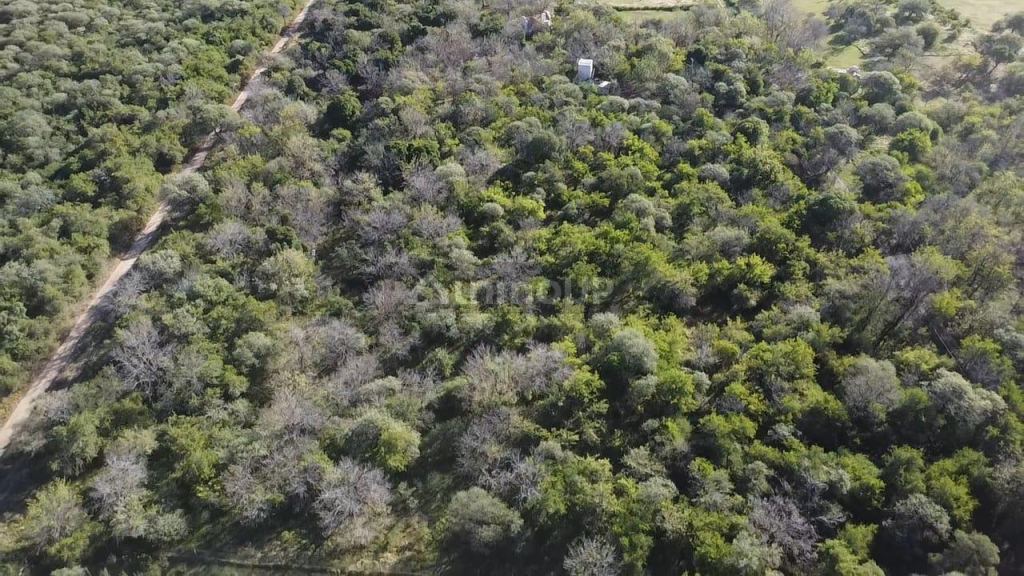 Terreno en Venta en San Javier, Cordoba