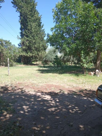 Finca en Venta en Santa Rosa, Mendoza