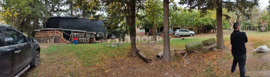 Finca en Venta en Santa Rosa, Mendoza