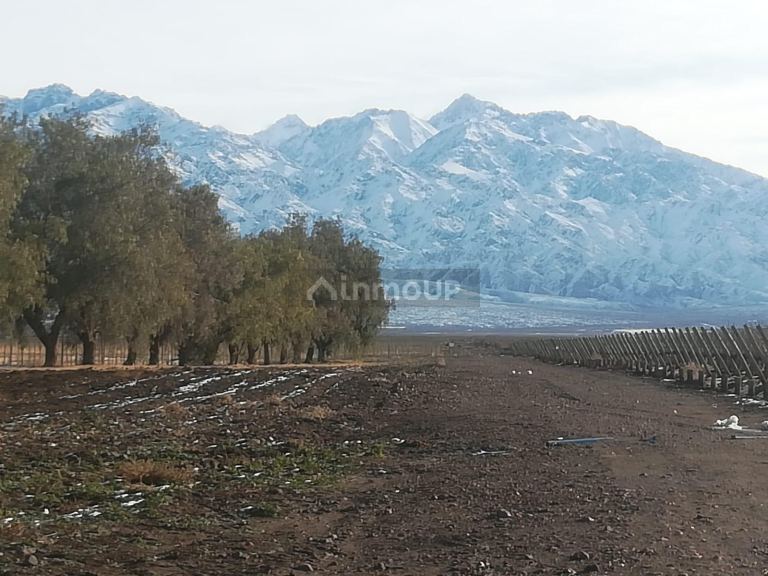 Finca en Venta en Tunuyan, Mendoza
