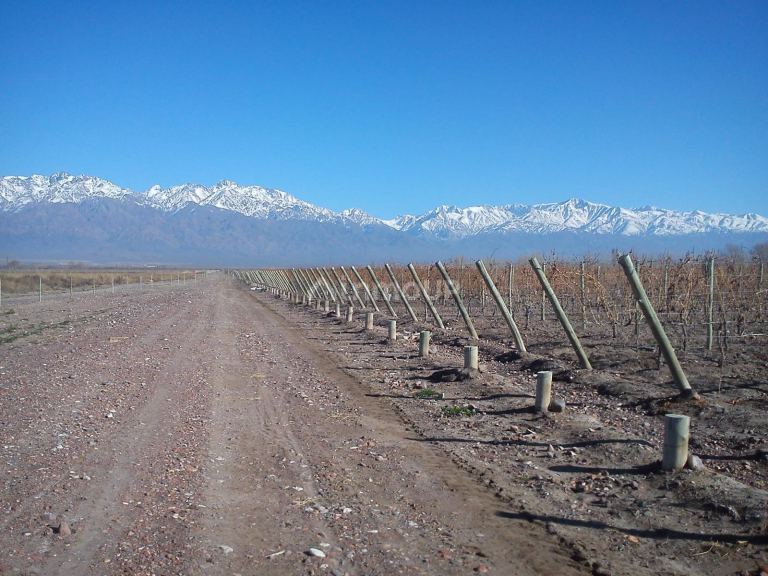 Finca en Venta en Tunuyan, Mendoza