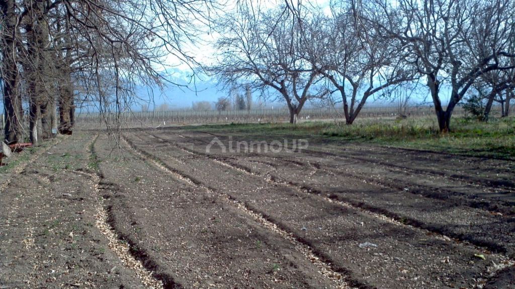 Finca en Venta en Tunuyan, Mendoza
