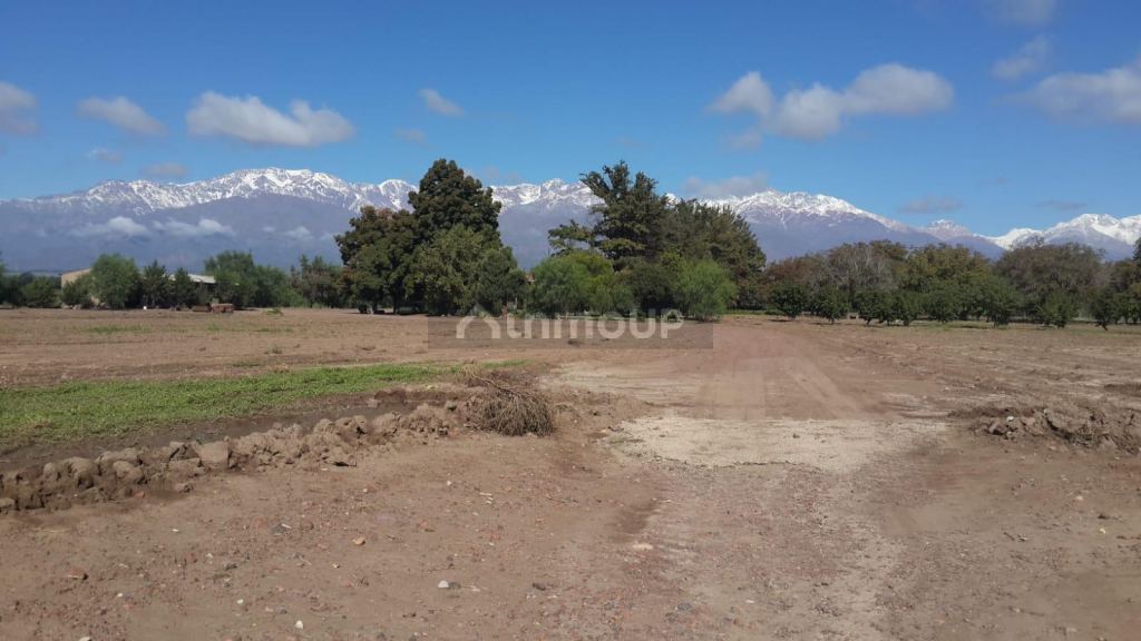 Finca en Venta en Tunuyan, Mendoza