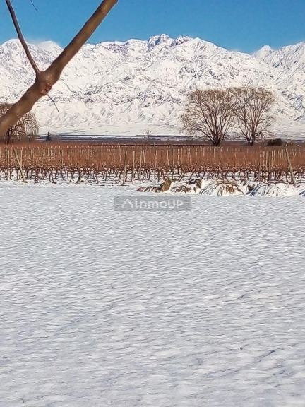Finca en Venta en Tunuyan, Mendoza
