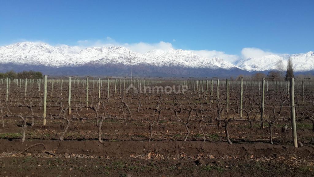 Finca en Venta en Tunuyan, Mendoza