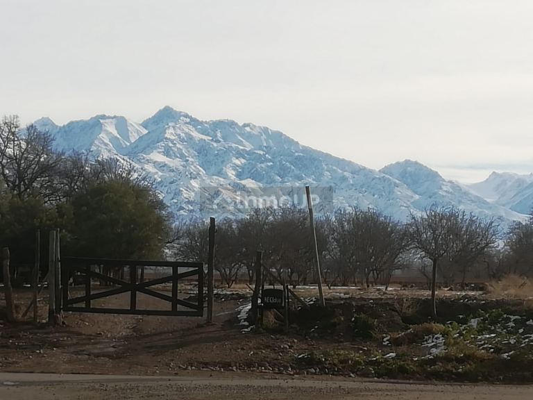 Finca en Venta en Tunuyan, Mendoza