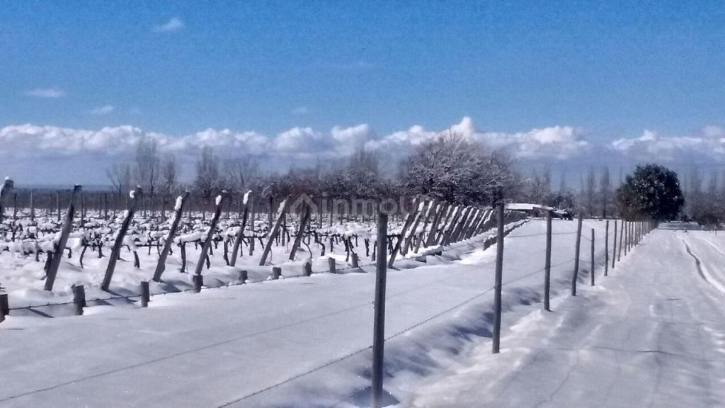 Finca en Venta en Tunuyan, Mendoza