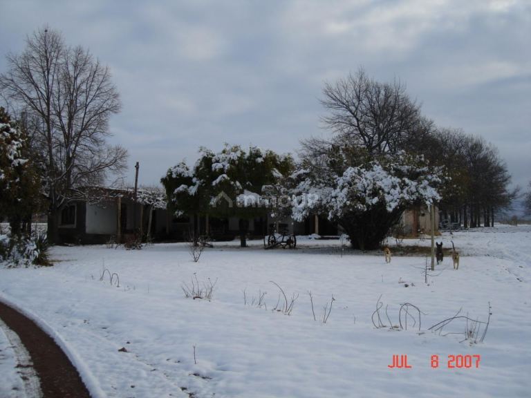 Finca en Venta en Tunuyan, Mendoza