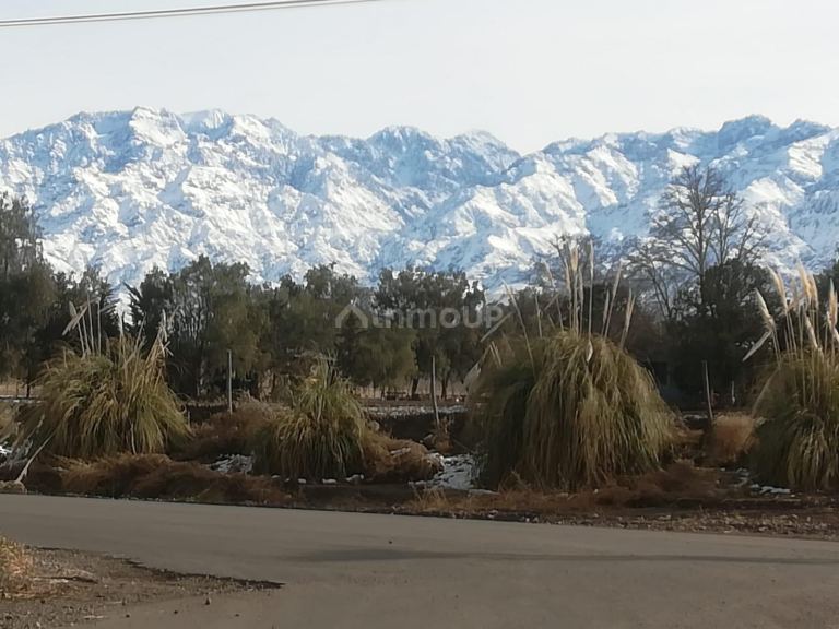 Finca en Venta en Tunuyan, Mendoza