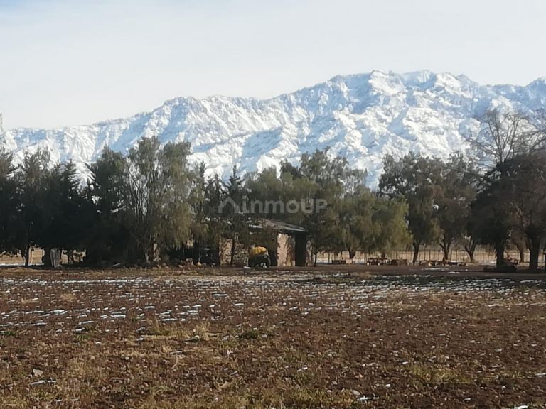Finca en Venta en Tunuyan, Mendoza