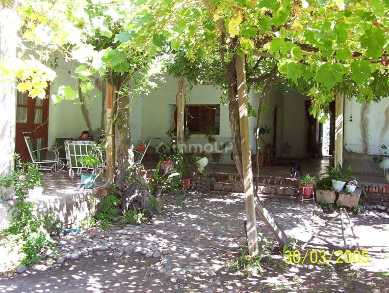Finca en Venta en Tunuyan, Mendoza