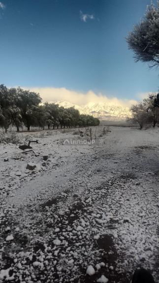 Finca en Venta en Tunuyan, Mendoza
