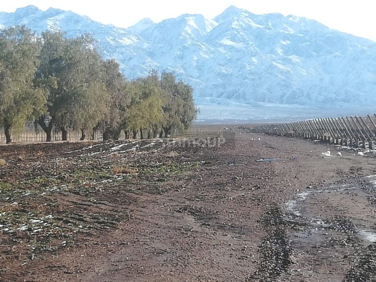 Finca en Venta en Tunuyan, Mendoza