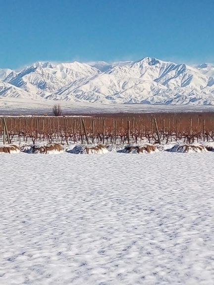 Finca en Venta en Tunuyan, Mendoza