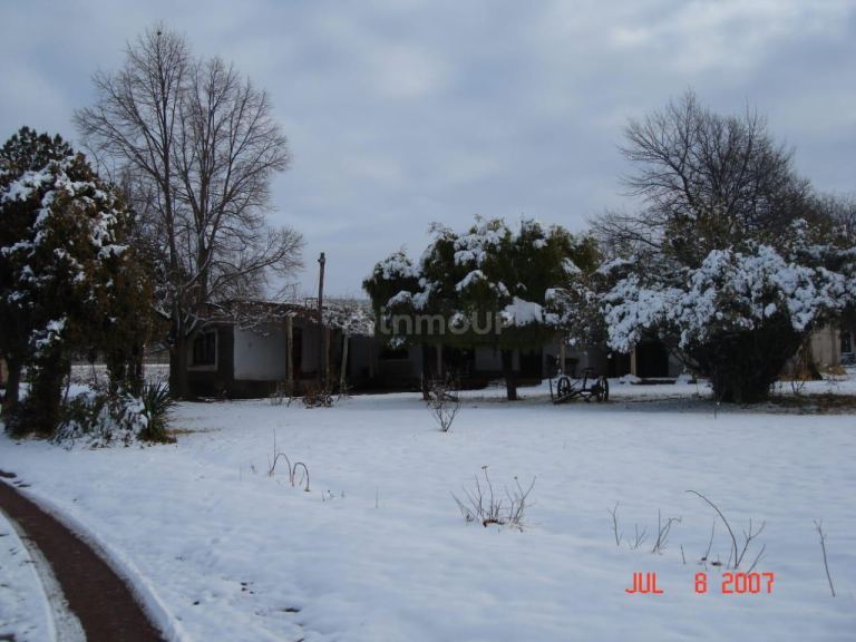 Finca en Venta en Tunuyan, Mendoza