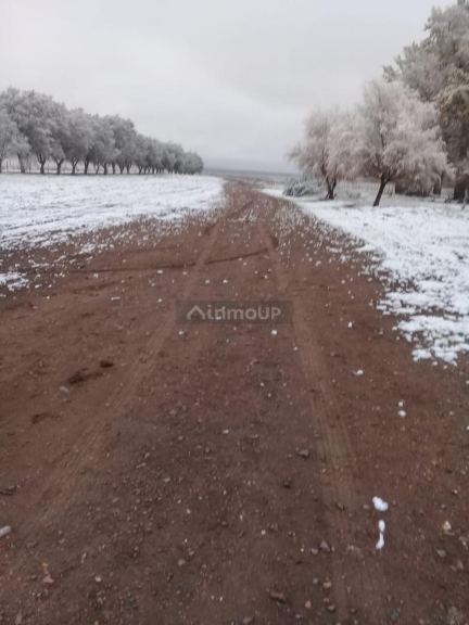 Finca en Venta en Tunuyan, Mendoza