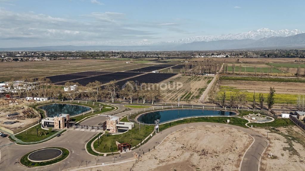 Terreno en Venta en Lujan de Cuyo, Mendoza
