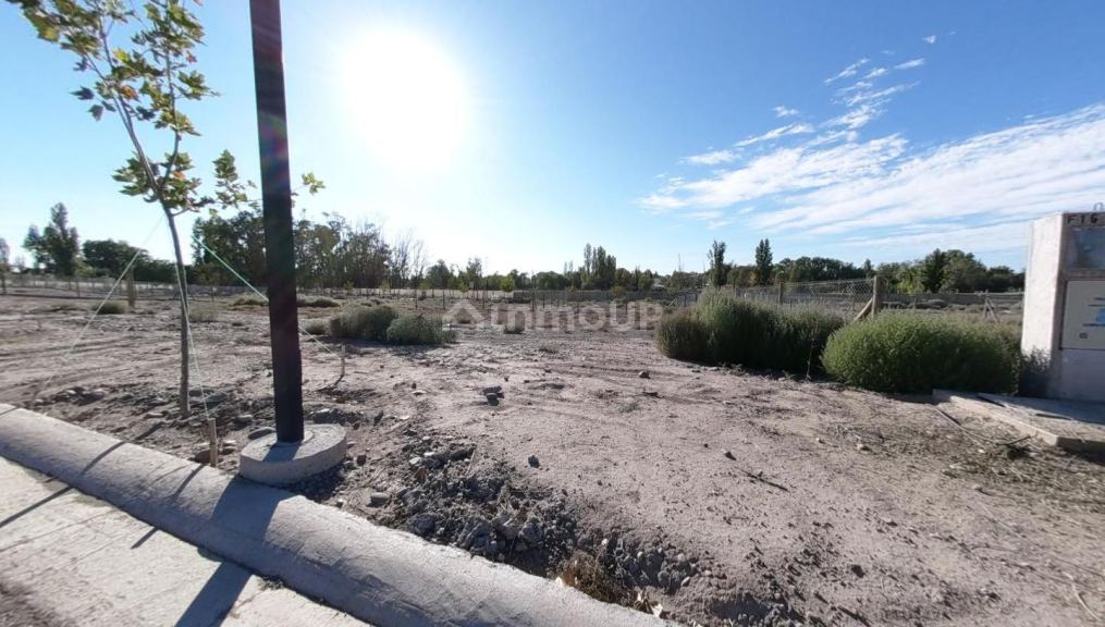 Terreno en Venta en Lujan de Cuyo, Mendoza