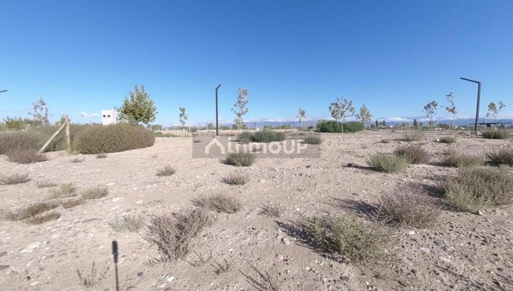 Terreno en Venta en Lujan de Cuyo, Mendoza