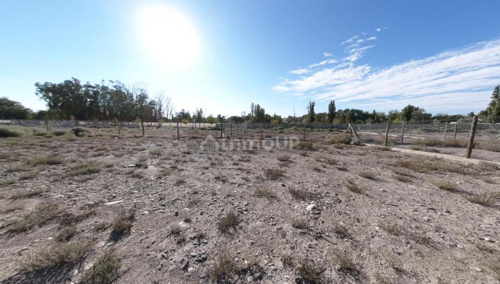 Terreno en Venta en Lujan de Cuyo, Mendoza