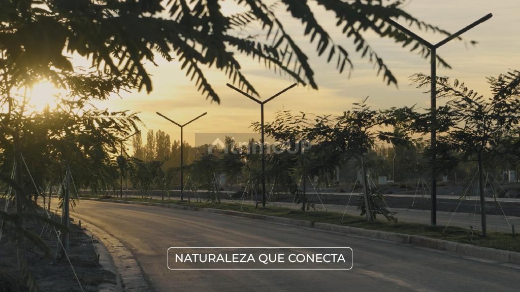 Terreno en Venta en Lujan de Cuyo, Mendoza
