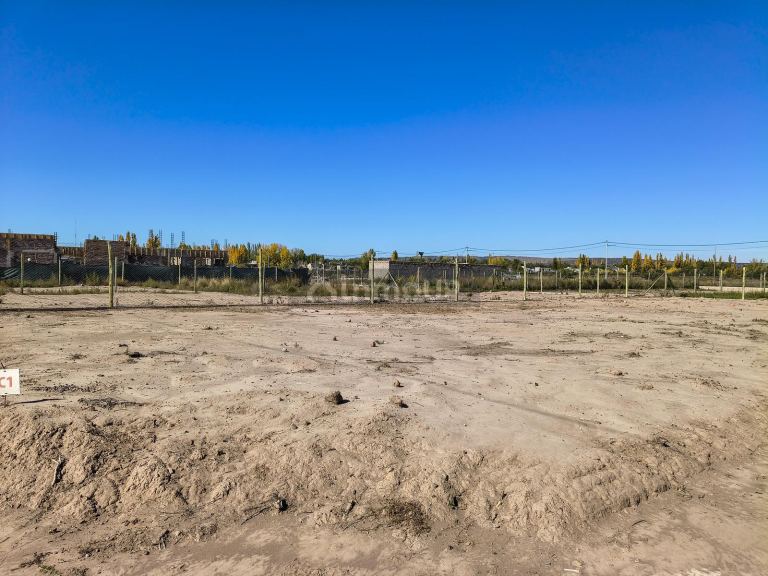 Terreno en Venta en Lujan de Cuyo, Mendoza