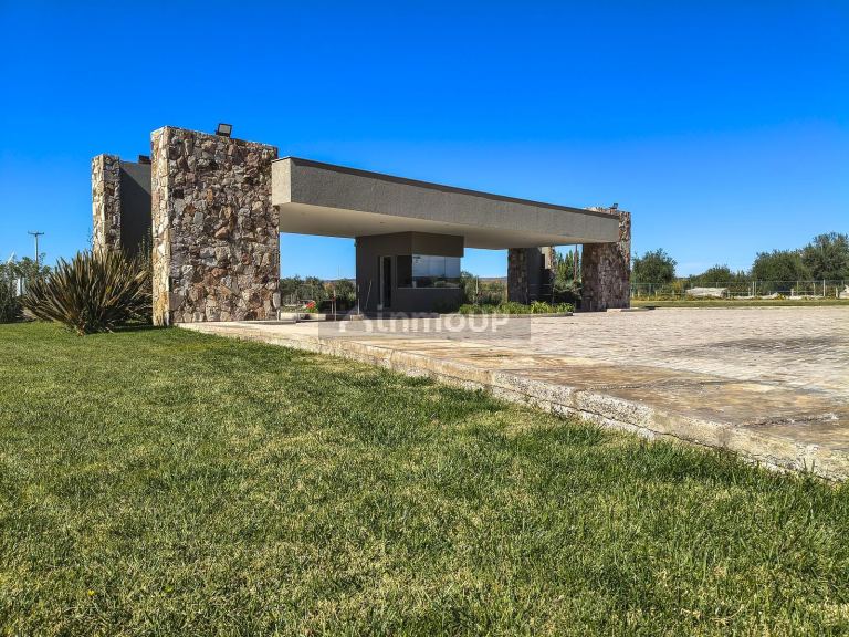 Terreno en Venta en Lujan de Cuyo, Mendoza