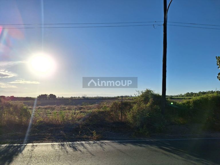 Terreno en Venta en Junin, Mendoza