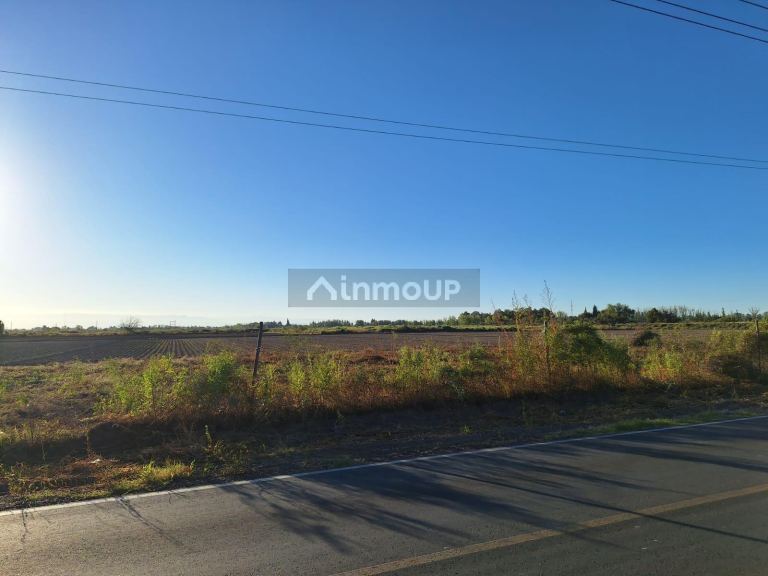 Terreno en Venta en Junin, Mendoza
