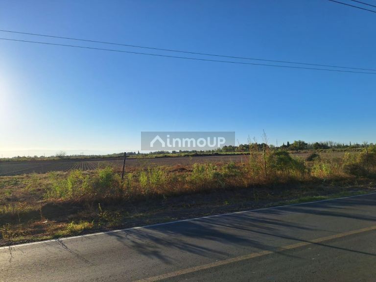 Terreno en Venta en Junin, Mendoza