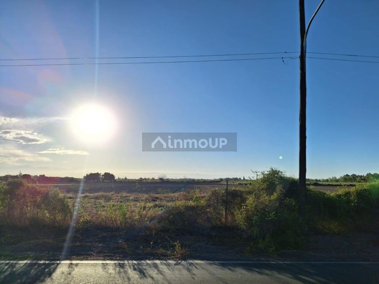Terreno en Venta en Junin, Mendoza