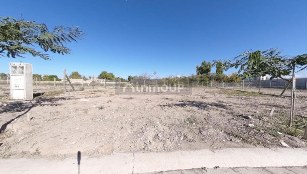 Terreno en Venta en Lujan de Cuyo, Mendoza