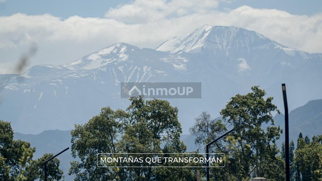 Terreno en Venta en Lujan de Cuyo, Mendoza